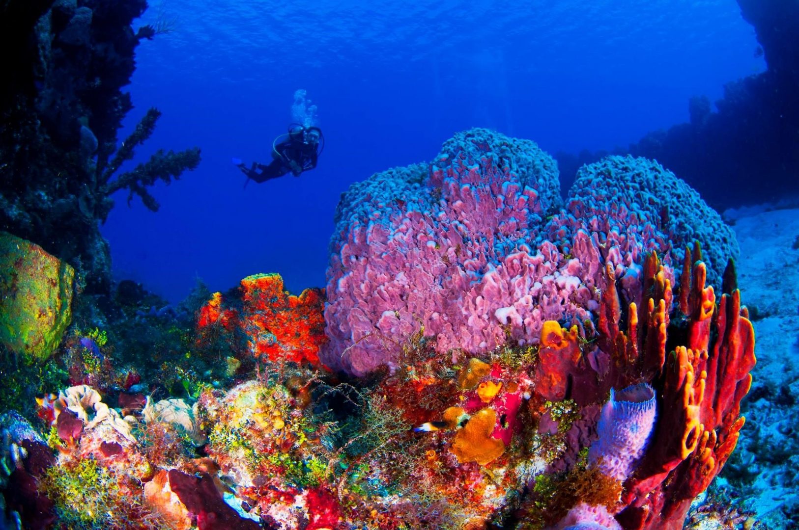 FOTO 5. PALANCAR CAVES. COZUMEL. RIVIERA MAYA – MEXICO | Diving World